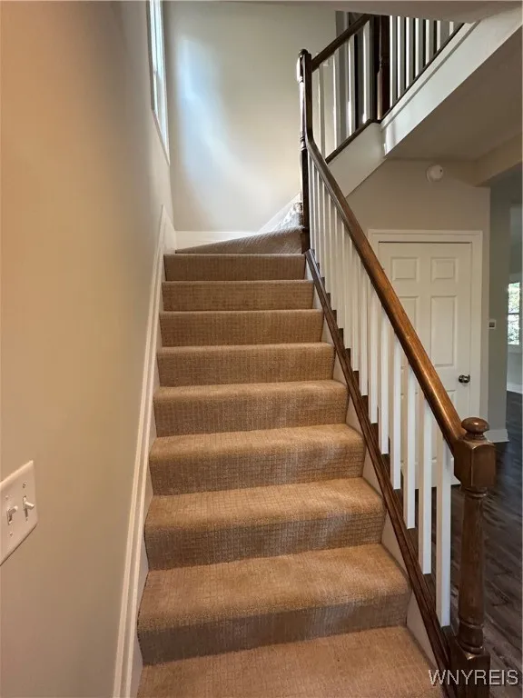 New carpet and Railings