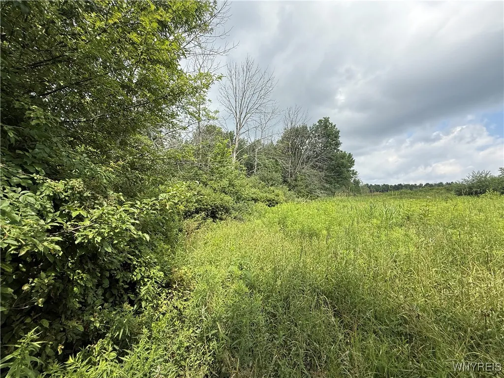 South Hill, Concord, New York 14141, Concord, New York 14141, ,Land,For Sale,South Hill, Concord, New York 14141,B1624328