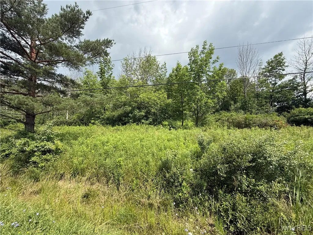 South Hill, Concord, New York 14141, Concord, New York 14141, ,Land,For Sale,South Hill, Concord, New York 14141,B1624328