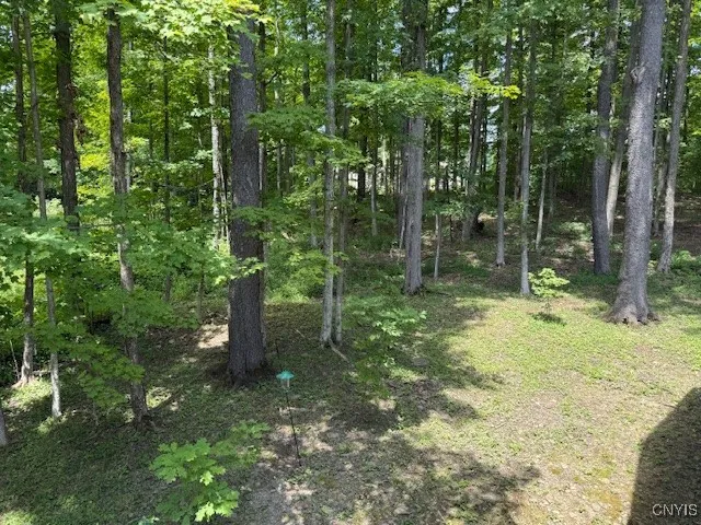 Side yard