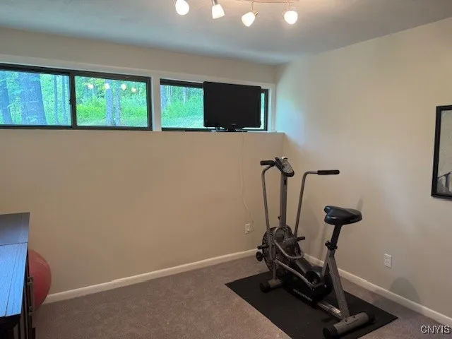 Second lower level bedroom