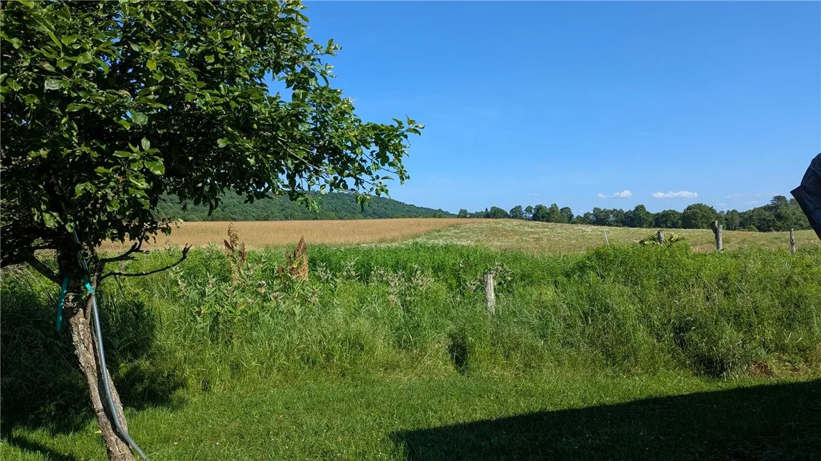 1406 County Highway 14, New Lisbon, New York 13810, New Lisbon, New York 13810, 7 Bedrooms Bedrooms, 15 Rooms Rooms,1 BathroomBathrooms,Residential,For Sale,1406 County Highway 14, New Lisbon, New York 13810,R1624352