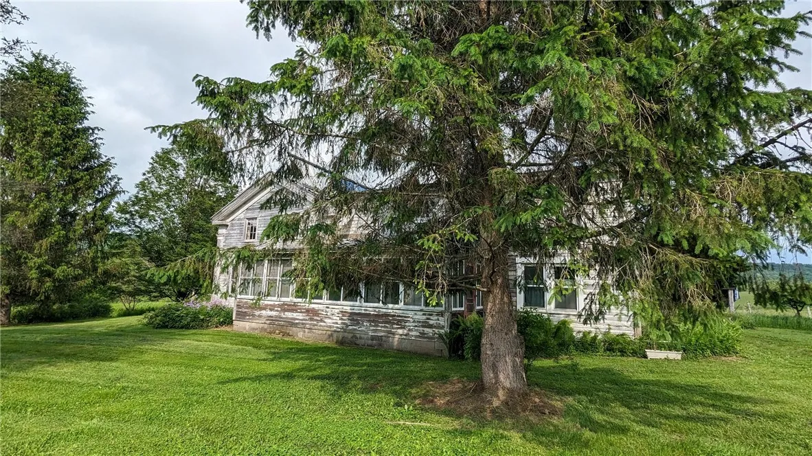 Mature landscaping