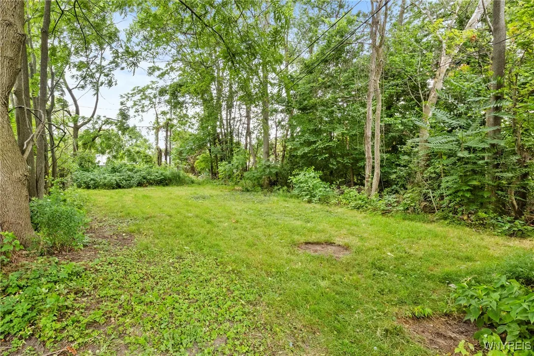 217 East Utica Street S, Buffalo, New York 14208, Buffalo, New York 14208, 6 Bedrooms Bedrooms, ,4 BathroomsBathrooms,Residential,For Sale,217 East Utica Street S, Buffalo, New York 14208,B1624401