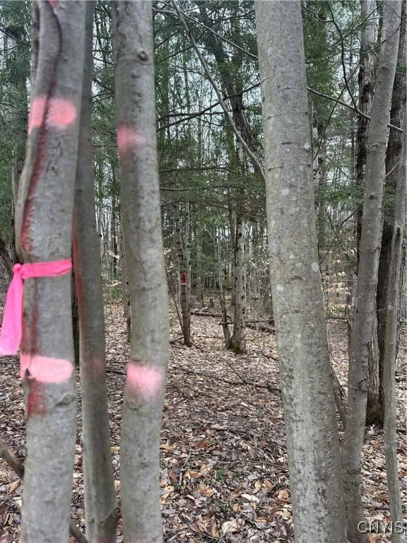 left corner of the property marked with 3 tags