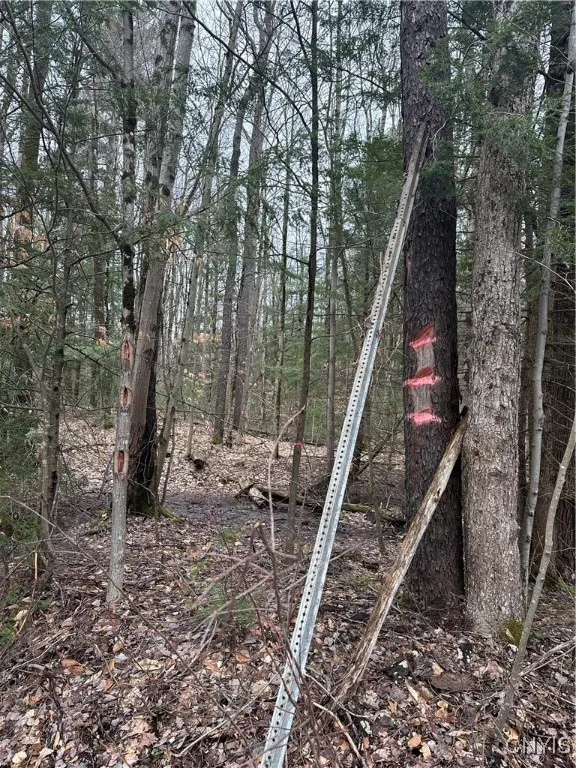 right corner of the property marked with 3 tags