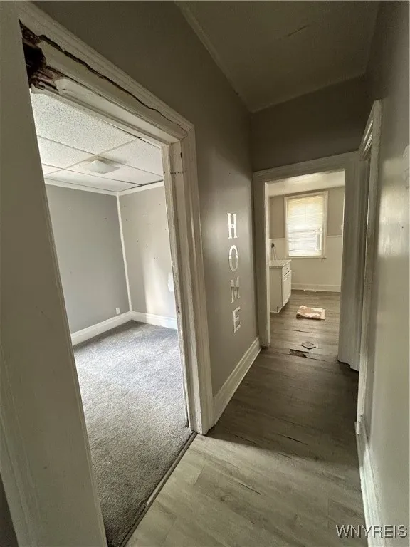 18 Kamper Avenue, Buffalo, New York 14210, Buffalo, New York 14210, 6 Bedrooms Bedrooms, ,2 BathroomsBathrooms,Residential,For Sale,18 Kamper Avenue, Buffalo, New York 14210,0,B1623761