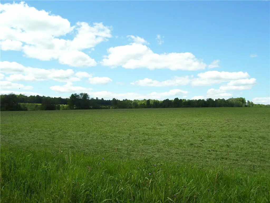 Pitcher Springs Road, Pharsalia, New York 13801, Pharsalia, New York 13801, ,Land,For Sale,Pitcher Springs Road, Pharsalia, New York 13801,R1624515