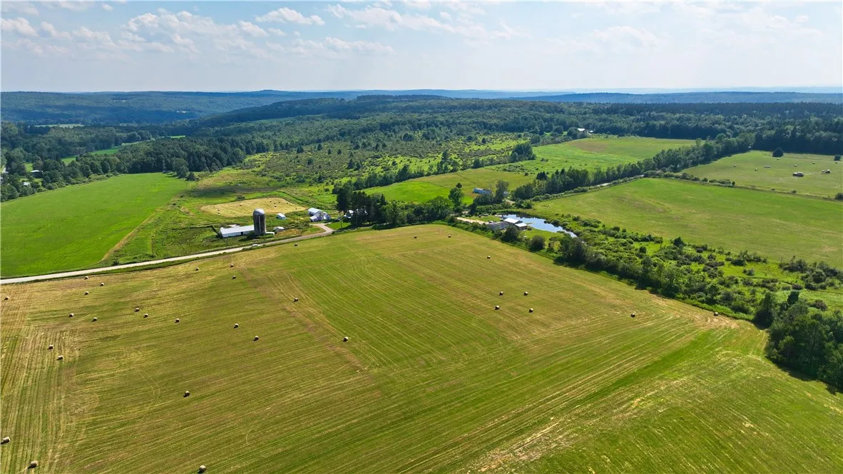 Pitcher Springs Road, Pharsalia, New York 13801, Pharsalia, New York 13801, ,Land,For Sale,Pitcher Springs Road, Pharsalia, New York 13801,R1624515