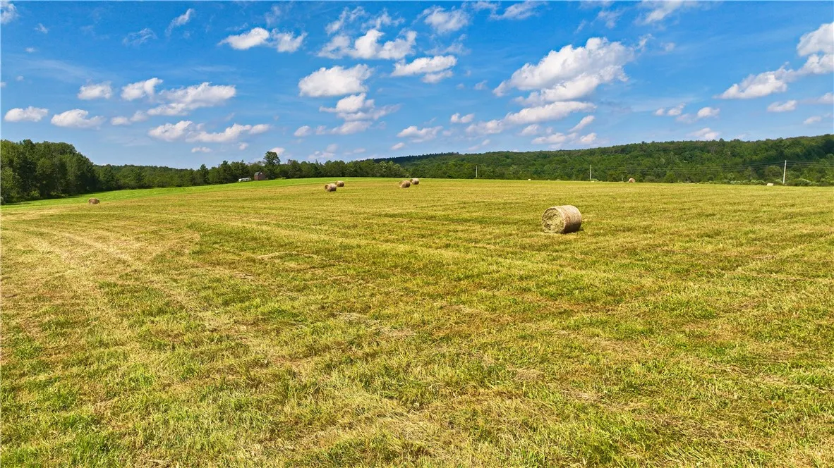 Pitcher Springs Road, Pharsalia, New York 13801, Pharsalia, New York 13801, ,Land,For Sale,Pitcher Springs Road, Pharsalia, New York 13801,R1624515