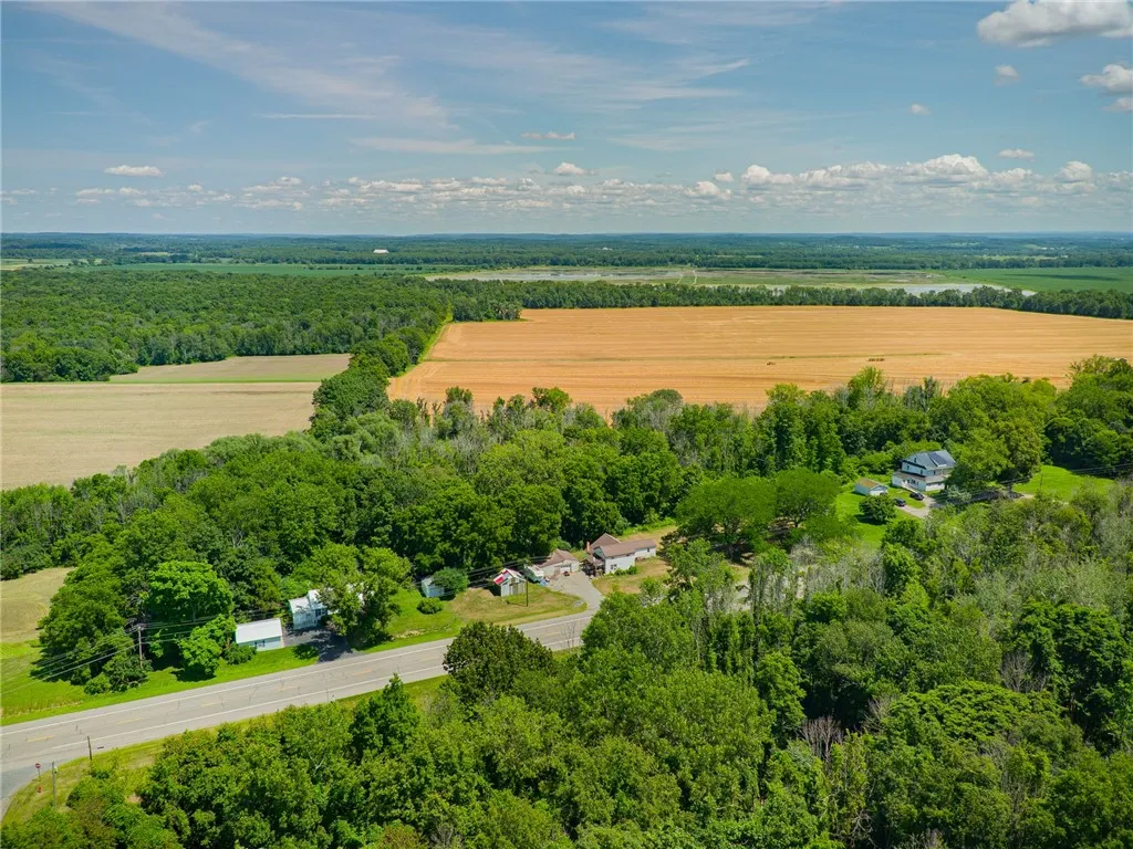 Look at ALL THAT COUNTRY!!