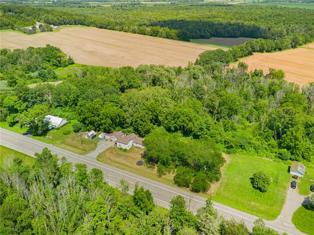 13797 ROUTE 31- SAVANNAH NY 9 acres!