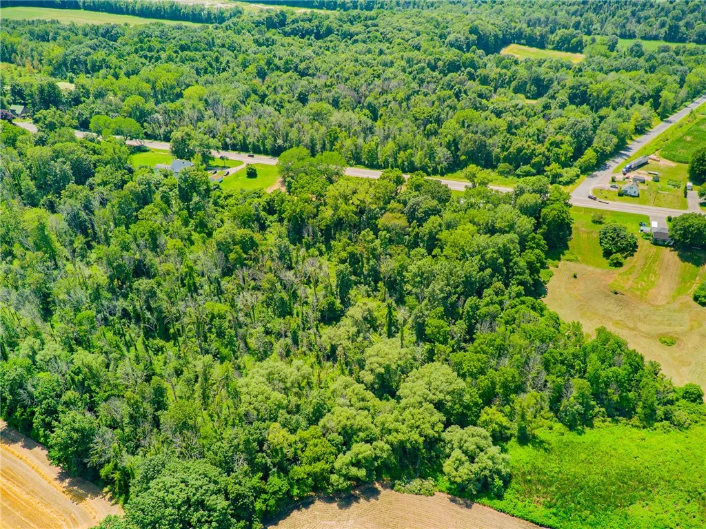 The view of the rear of the 9 acre parcel! So many trees!