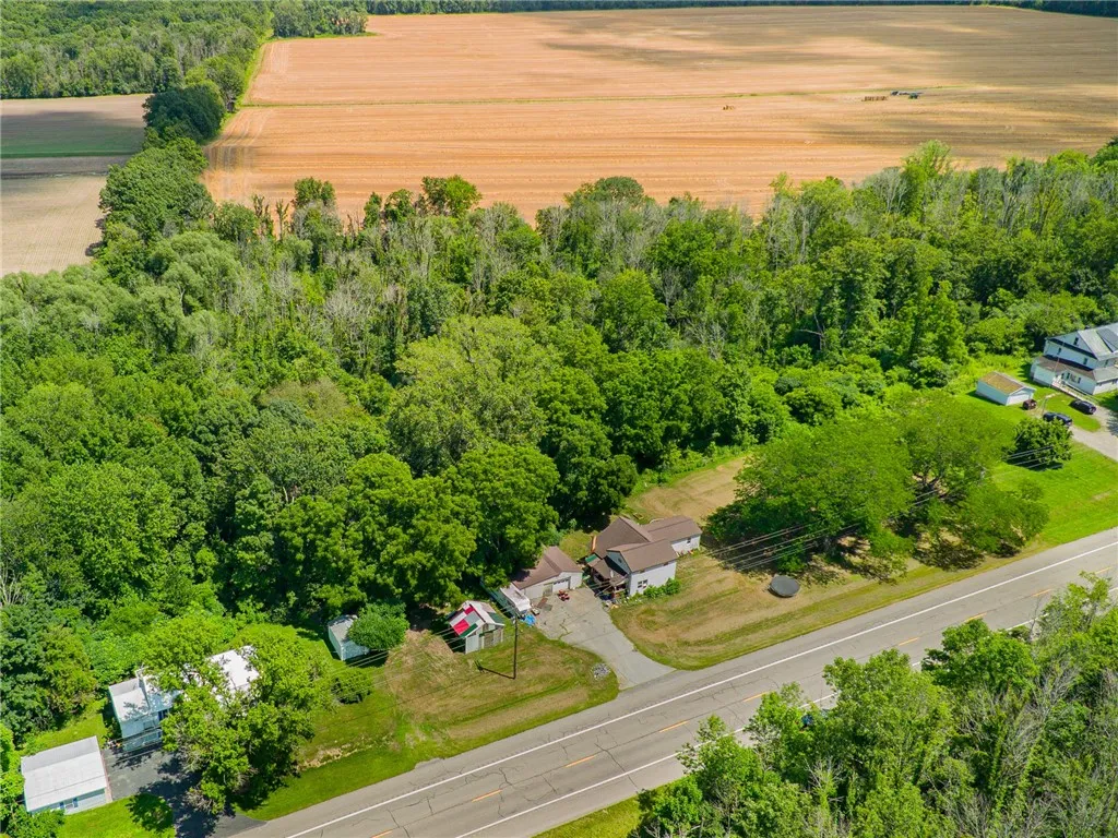 Surrounded by trees on this 9 acre parcel!