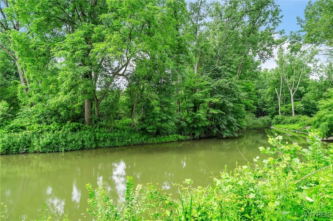 Buffalo Creek