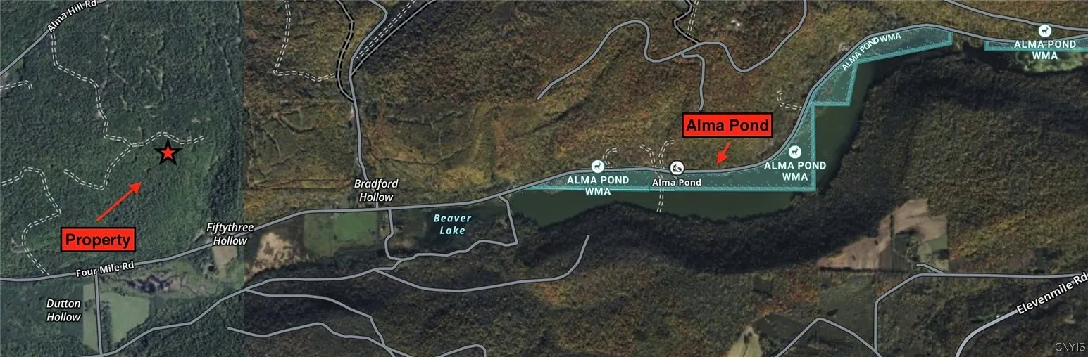 Cr-38, Alma, New York 14708, Alma, New York 14708, 1 Bedroom Bedrooms, ,Land,For Sale,Cr-38, Alma, New York 14708,S1624746