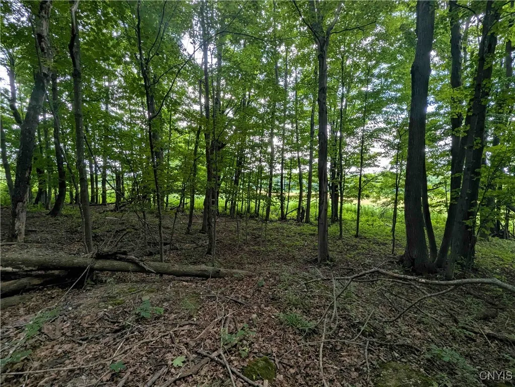 4350 Smith Pond Road, Avoca, New York 14809, Avoca, New York 14809, ,Land,Closed,4350 Smith Pond Road, Avoca, New York 14809,0,S1624760