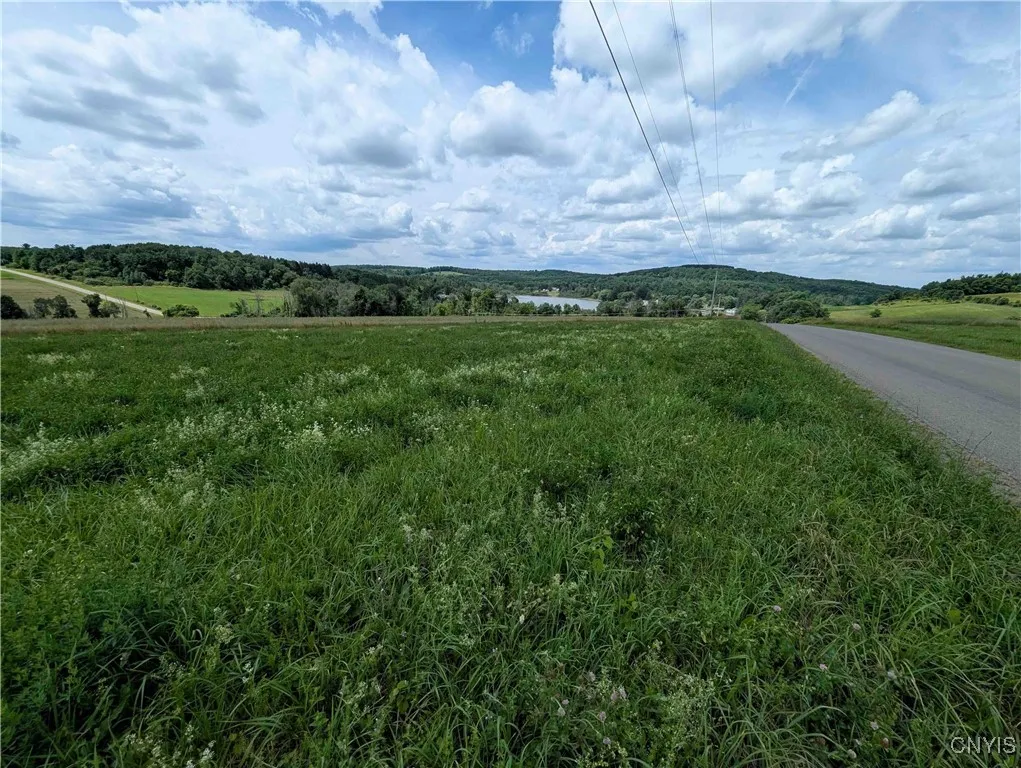 4350 Smith Pond Road, Avoca, New York 14809, Avoca, New York 14809, ,Land,Closed,4350 Smith Pond Road, Avoca, New York 14809,0,S1624760
