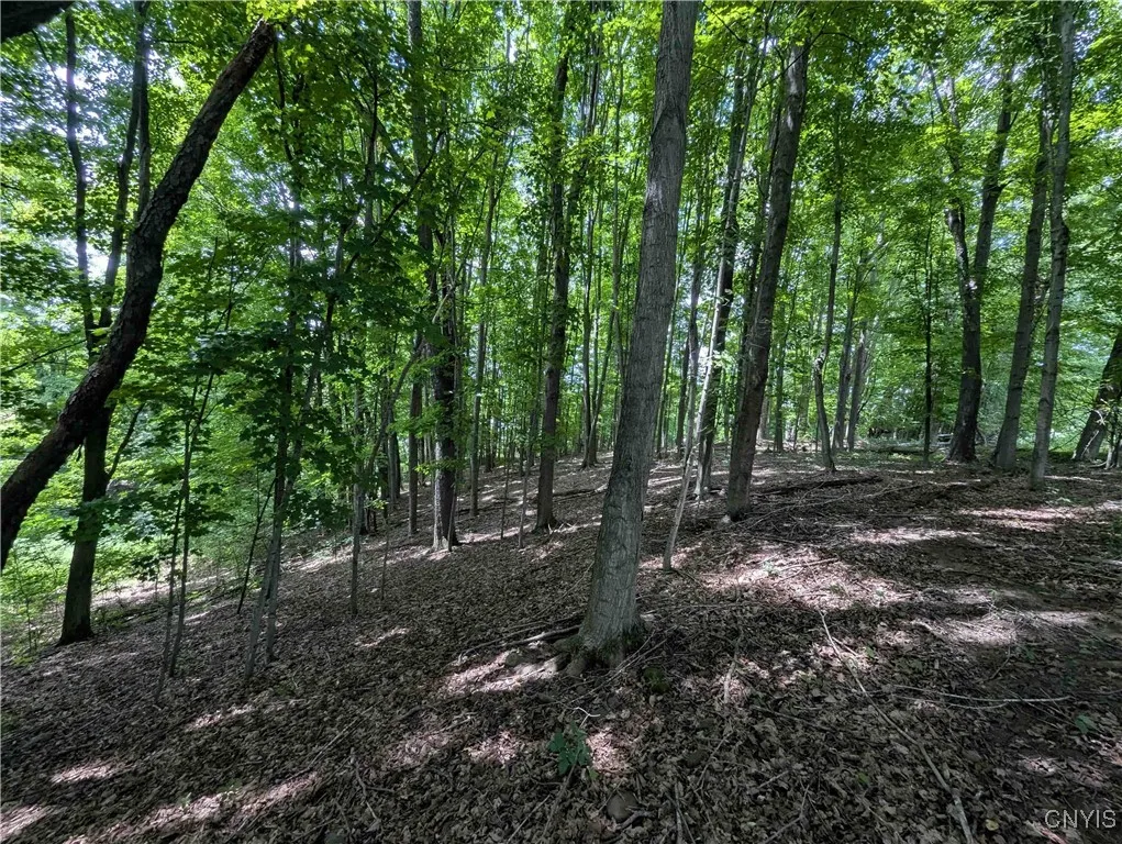 4350 Smith Pond Road, Avoca, New York 14809, Avoca, New York 14809, ,Land,Closed,4350 Smith Pond Road, Avoca, New York 14809,0,S1624760