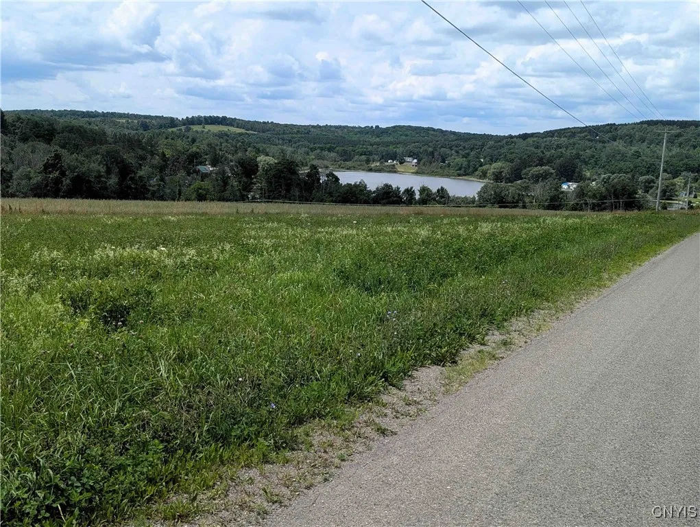 4350 Smith Pond Road, Avoca, New York 14809, Avoca, New York 14809, ,Land,Closed,4350 Smith Pond Road, Avoca, New York 14809,0,S1624760