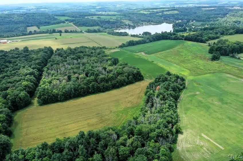 4350 Smith Pond Road, Avoca, New York 14809, Avoca, New York 14809, ,Land,Closed,4350 Smith Pond Road, Avoca, New York 14809,0,S1624760