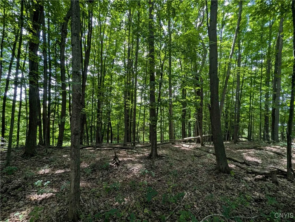 4350 Smith Pond Road, Avoca, New York 14809, Avoca, New York 14809, ,Land,Closed,4350 Smith Pond Road, Avoca, New York 14809,0,S1624760