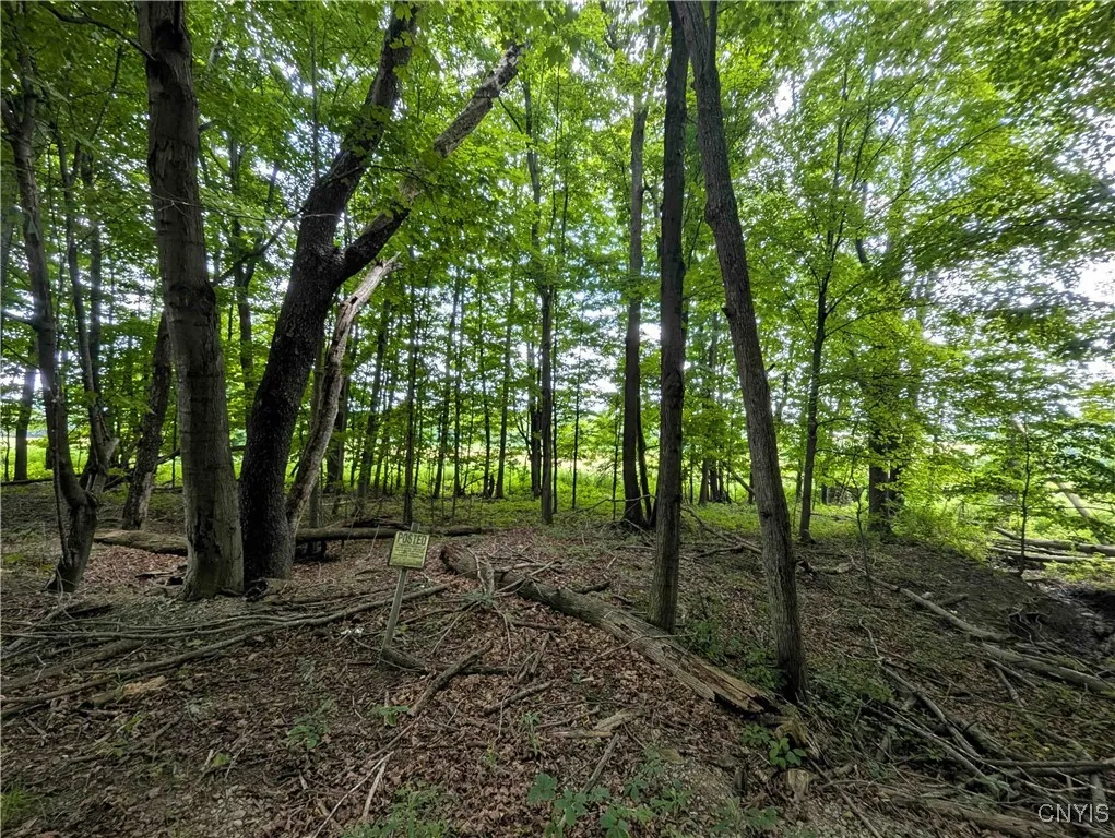 4350 Smith Pond Road, Avoca, New York 14809, Avoca, New York 14809, ,Land,Closed,4350 Smith Pond Road, Avoca, New York 14809,0,S1624760