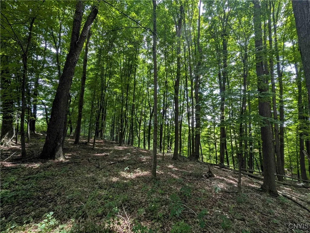 4350 Smith Pond Road, Avoca, New York 14809, Avoca, New York 14809, ,Land,Closed,4350 Smith Pond Road, Avoca, New York 14809,0,S1624760