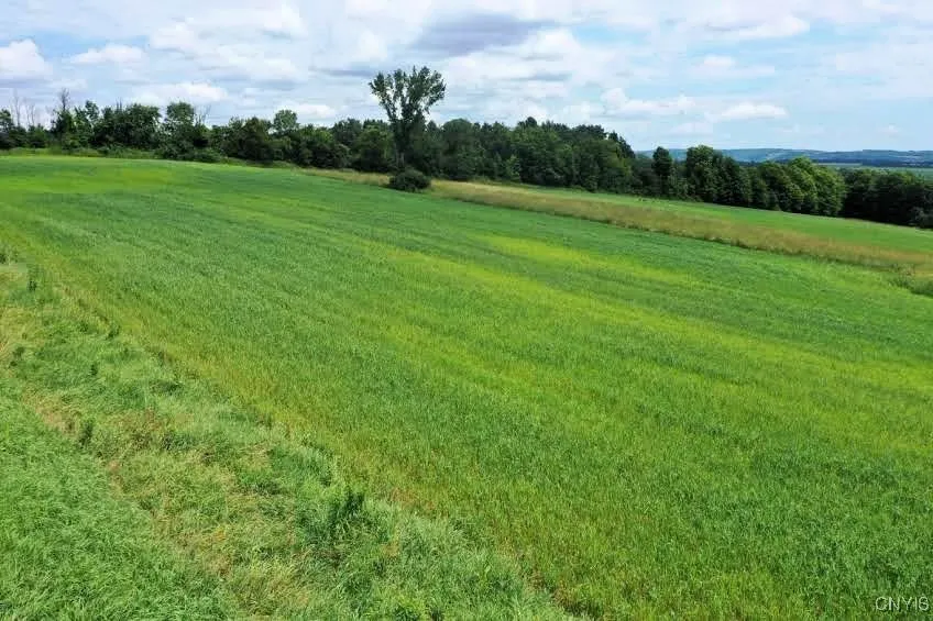 4350 Smith Pond Road, Avoca, New York 14809, Avoca, New York 14809, ,Land,Closed,4350 Smith Pond Road, Avoca, New York 14809,0,S1624760