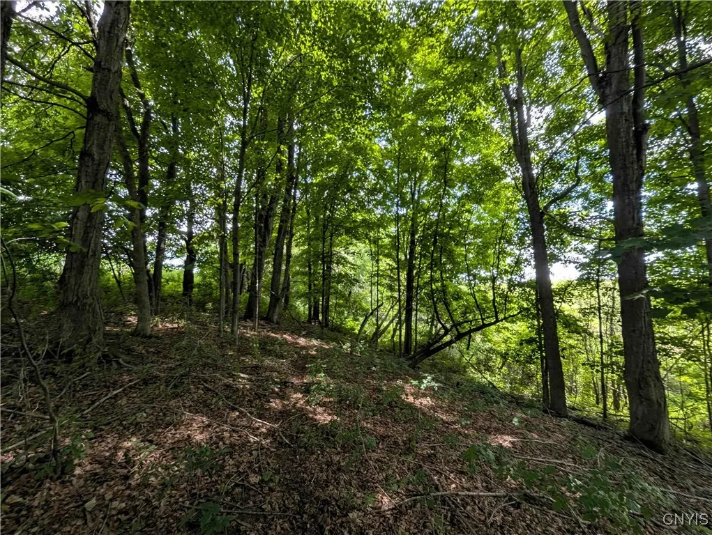 4350 Smith Pond Road, Avoca, New York 14809, Avoca, New York 14809, ,Land,Closed,4350 Smith Pond Road, Avoca, New York 14809,0,S1624760