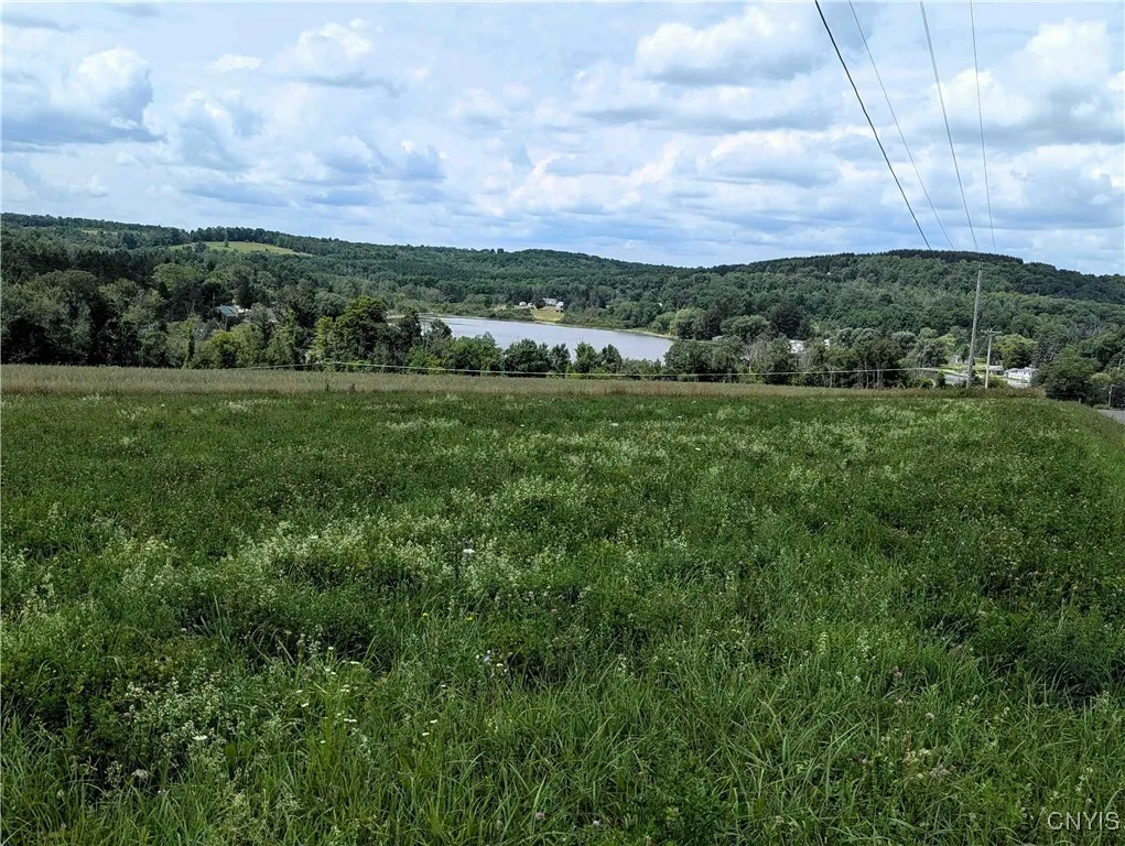 4350 Smith Pond Road, Avoca, New York 14809, Avoca, New York 14809, ,Land,Closed,4350 Smith Pond Road, Avoca, New York 14809,0,S1624760