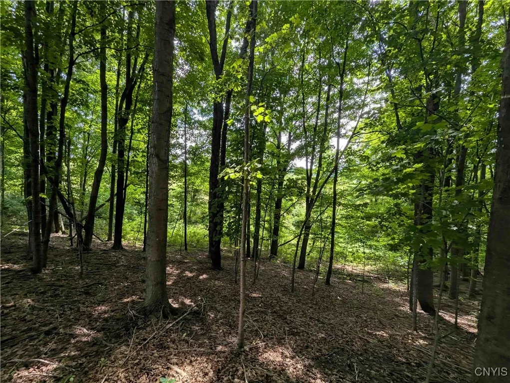 4350 Smith Pond Road, Avoca, New York 14809, Avoca, New York 14809, ,Land,Closed,4350 Smith Pond Road, Avoca, New York 14809,0,S1624760