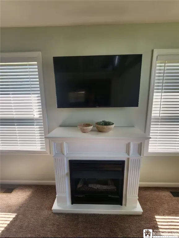 Propane Fireplace