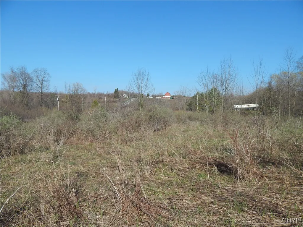 3918 Alene Corners Road, Lincoln, New York 13032, Lincoln, New York 13032, ,Land,For Sale,3918 Alene Corners Road, Lincoln, New York 13032,S1624453