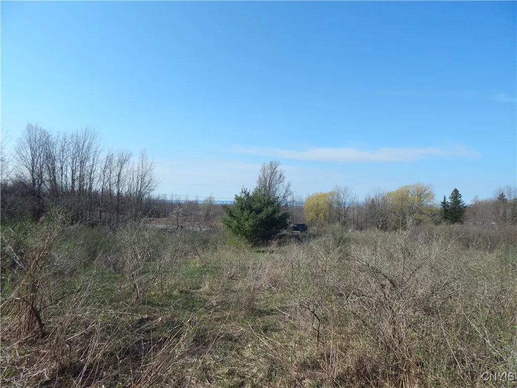 3918 Alene Corners Road, Lincoln, New York 13032, Lincoln, New York 13032, ,Land,For Sale,3918 Alene Corners Road, Lincoln, New York 13032,S1624453