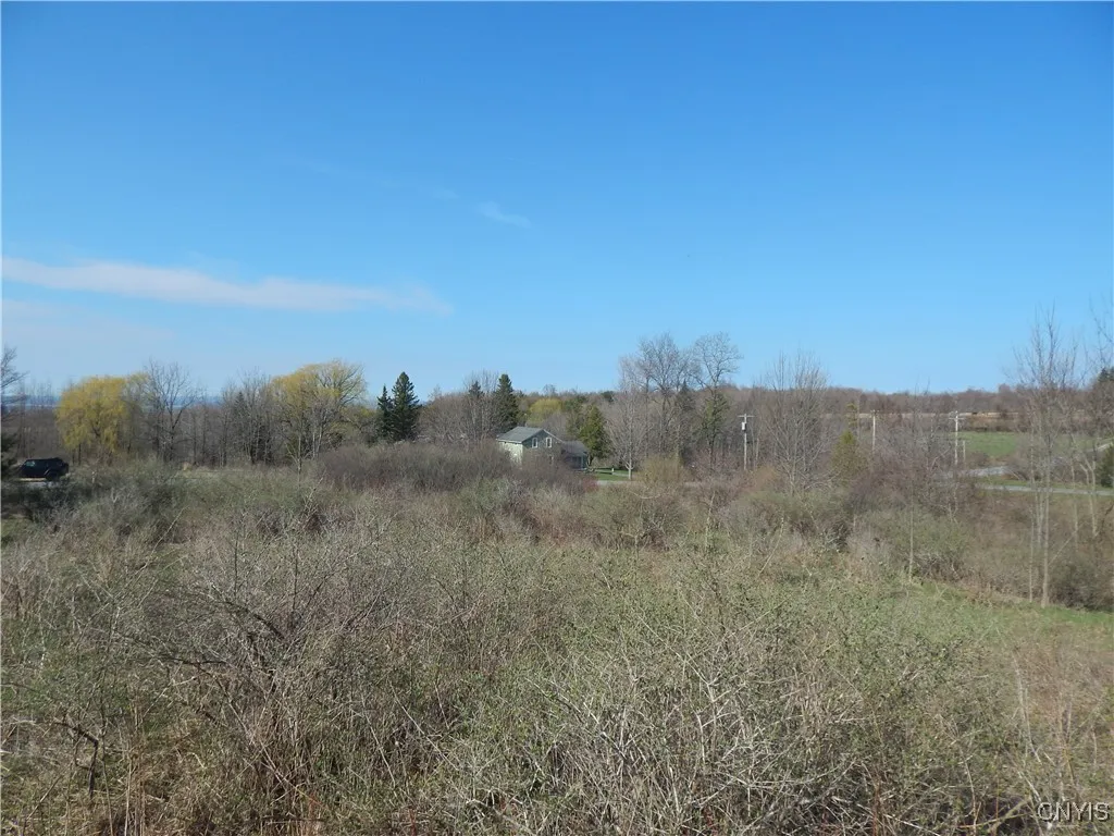 3918 Alene Corners Road, Lincoln, New York 13032, Lincoln, New York 13032, ,Land,For Sale,3918 Alene Corners Road, Lincoln, New York 13032,S1624453