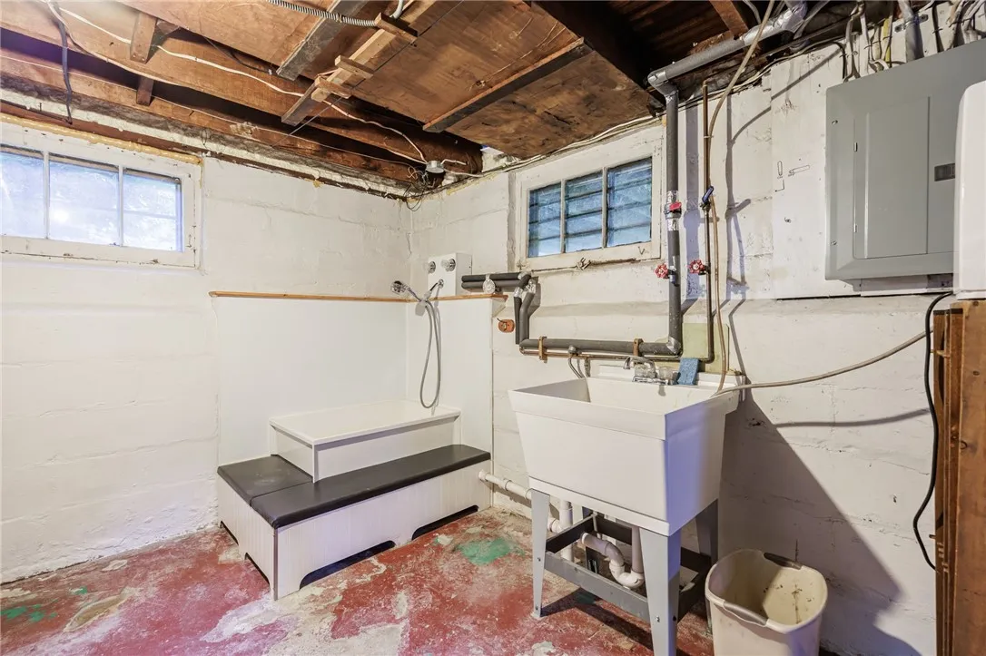 Dog wash in Basement