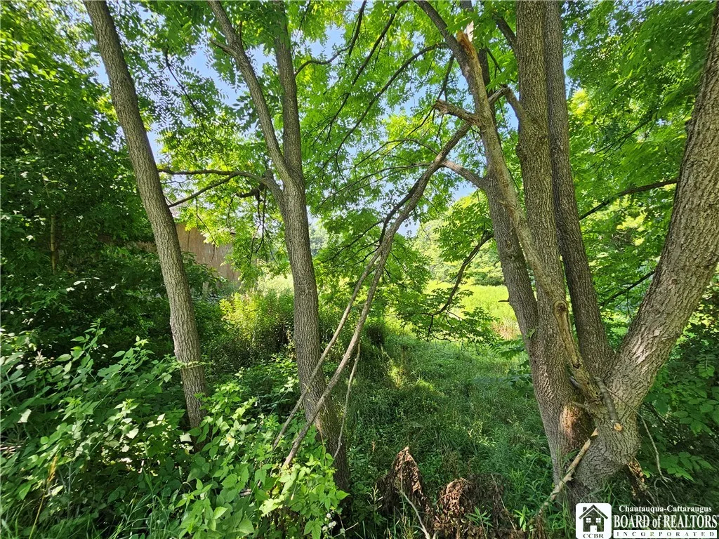 1493 Flanigan Road, Hinsdale, New York 14743, Hinsdale, New York 14743, 3 Bedrooms Bedrooms, 6 Rooms Rooms,1 BathroomBathrooms,Residential,For Sale,1493 Flanigan Road, Hinsdale, New York 14743,0,R1624691