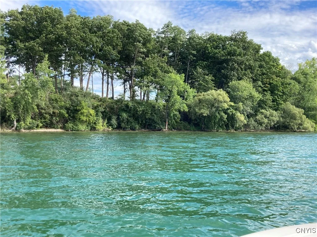 Beautiful Shoreline