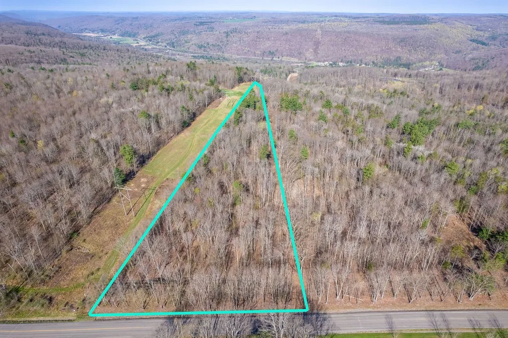 Breed Hollow Road, Catlin, New York 14902, Catlin, New York 14902, ,Land,For Sale,Breed Hollow Road, Catlin, New York 14902,R1619763