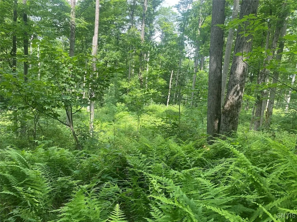Fulmer Valley Road, Wellsville, New York 14895, Wellsville, New York 14895, ,Land,For Sale,Fulmer Valley Road, Wellsville, New York 14895,S1624977