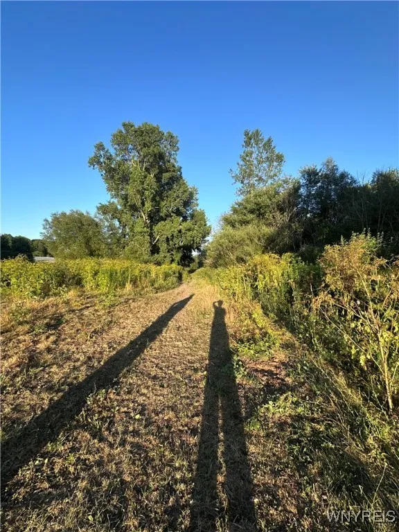 path from the pasture back to property