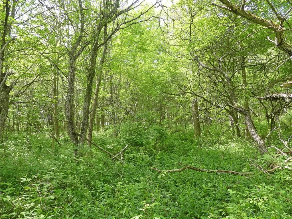 Andes, New York 13731, ,Land,For Sale,R1622801