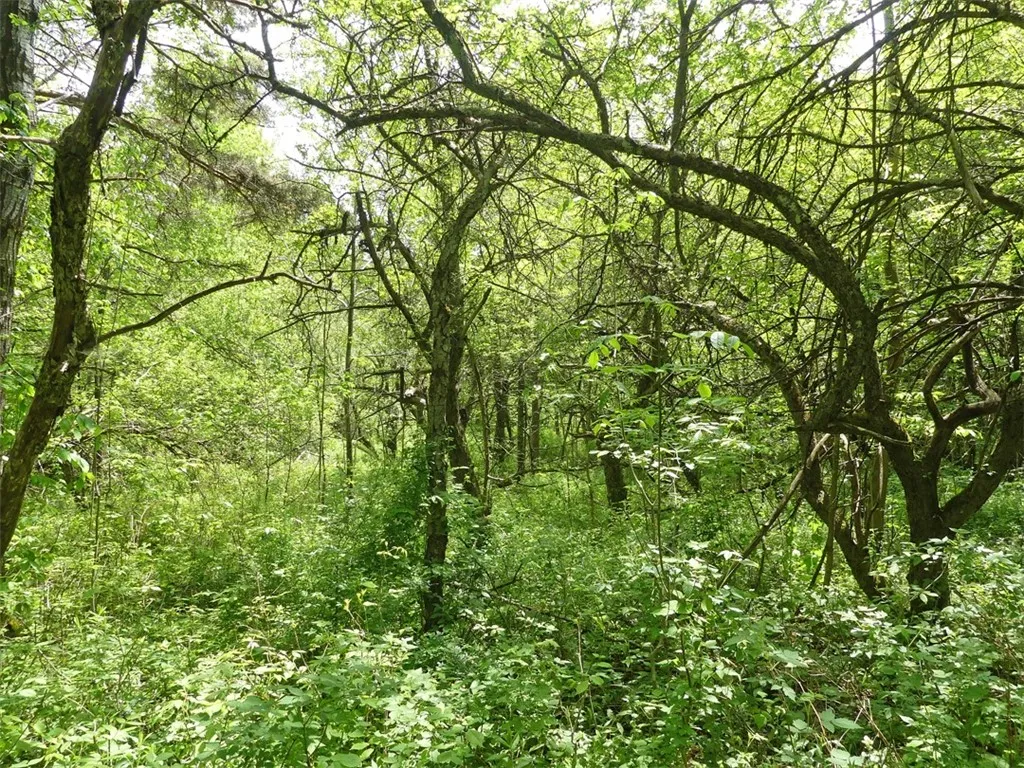 Andes, New York 13731, ,Land,For Sale,R1622801