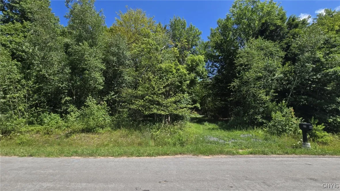 83 Lindsay Lane, Hastings, New York 13076, Hastings, New York 13076, ,Land,Closed,83 Lindsay Lane, Hastings, New York 13076,0,S1625026