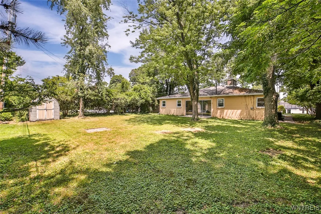 Spacious back yard with plenty of shade, and a shed for the lawn mower and whatever else.