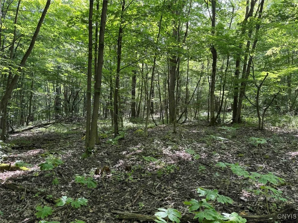 Green Road, Alfred, New York 14802, Alfred, New York 14802, ,Land,Closed,Green Road, Alfred, New York 14802,0,S1625105