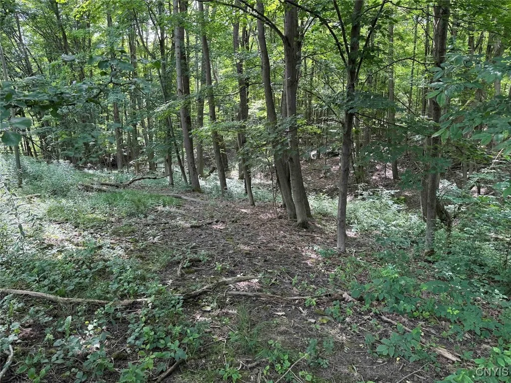 Green Road, Alfred, New York 14802, Alfred, New York 14802, ,Land,Closed,Green Road, Alfred, New York 14802,0,S1625105