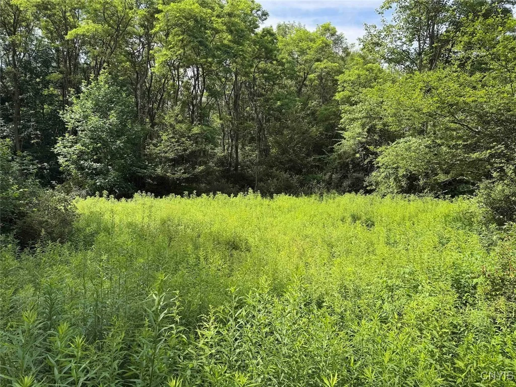 Green Road, Alfred, New York 14802, Alfred, New York 14802, ,Land,Closed,Green Road, Alfred, New York 14802,0,S1625105