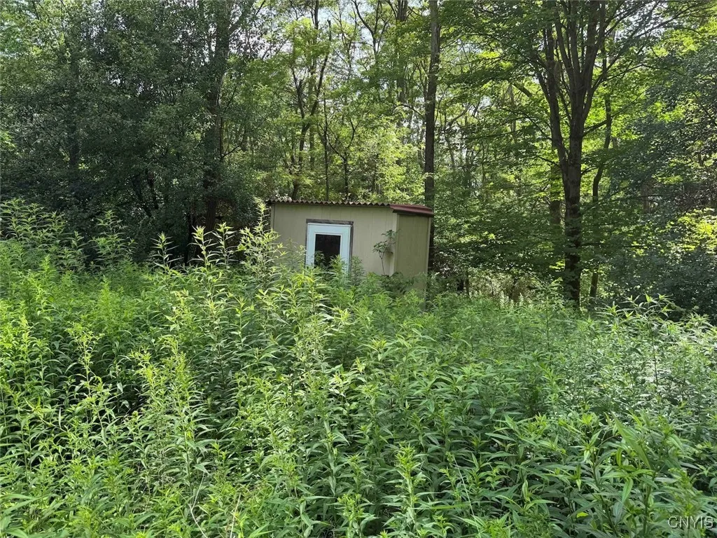 Green Road, Alfred, New York 14802, Alfred, New York 14802, ,Land,Closed,Green Road, Alfred, New York 14802,0,S1625105